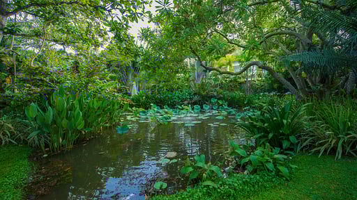 Sergeant House Garden