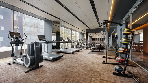 Setsu Niseko Two Bedroom Suite Gym