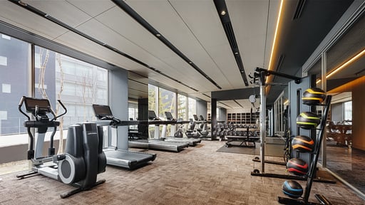 Setsu Niseko Fitnessraum