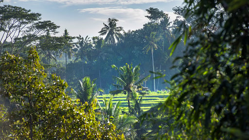 Villa Shamballa Surroundings
