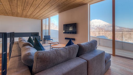 Silver Dream Living room