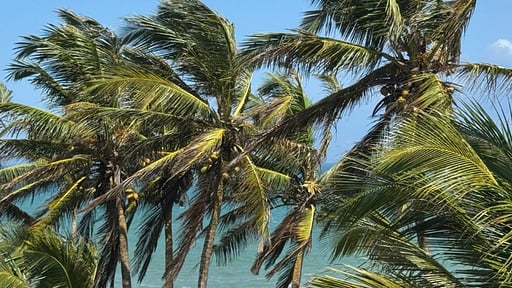 Silverlane Beach House Others