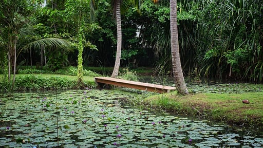 Siri Wedamadura Villa Garden
