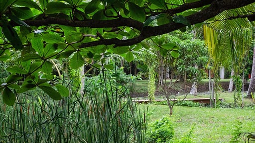 Siri Wedamadura Villa Garden