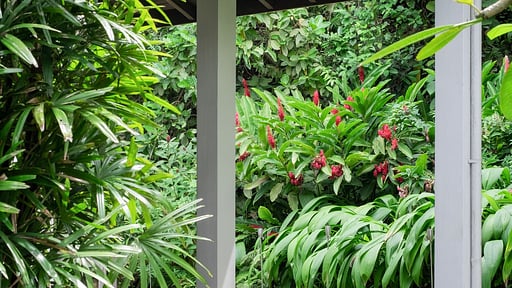 Siri Wedamadura Villa Others 