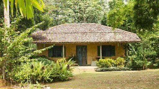 Sisindu Tea Estate Others