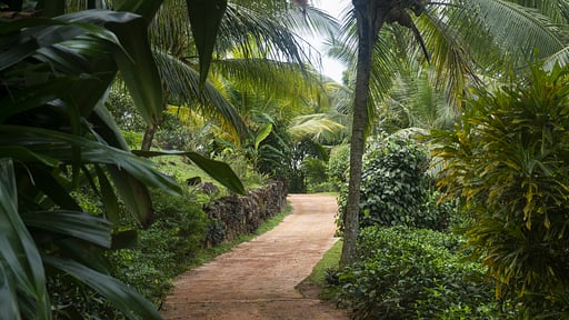 Sisindu Tea Estate Others