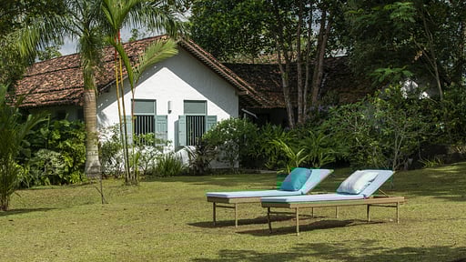 Sisindu Tea Estate Garden