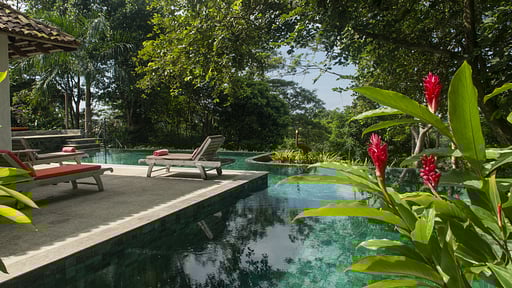 Sisindu Tea Estate Swimming pool