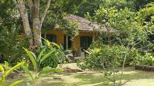 Sisindu Tea Estate Garden