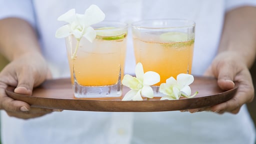 Skye Beach Villa Others