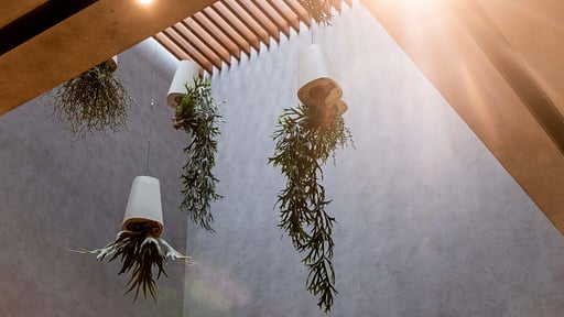 Skye Niseko Two Bedroom Suite Others 