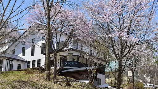 Skyline Apartment Others 