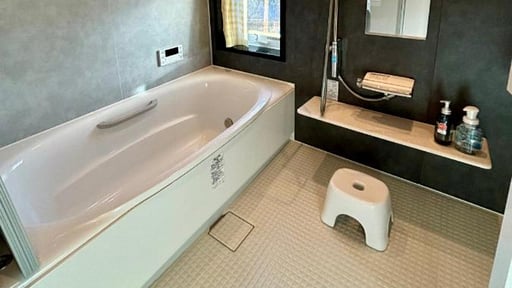 Snow Fever Clique Chalet Others