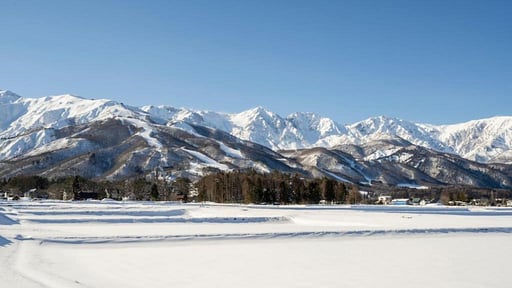 Snow Fever Clique Chalet Surroundings