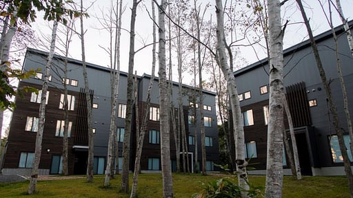 SnowDog Village Studio Suite