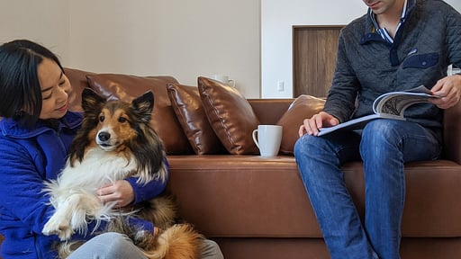 SnowDog Village Studio Suite Others