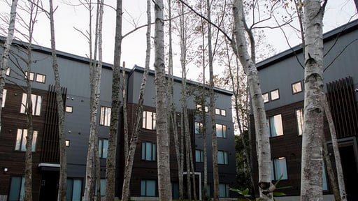 SnowDog Village Studio Suite Others