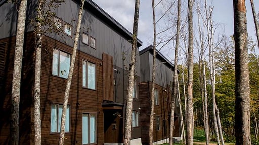 SnowDog Village Studio Suite Others