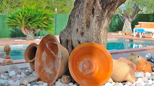 Finca Son Estrella Others