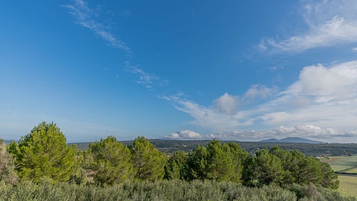 Finca Son Huguet Alentours