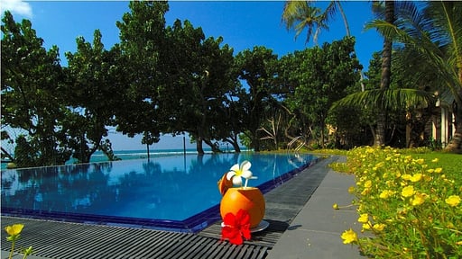 South Point Abbey Бассейн