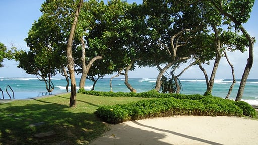 South Point Abbey Пляж