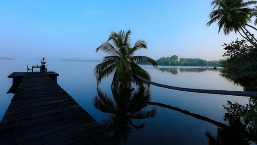 South Point Cottage Otros