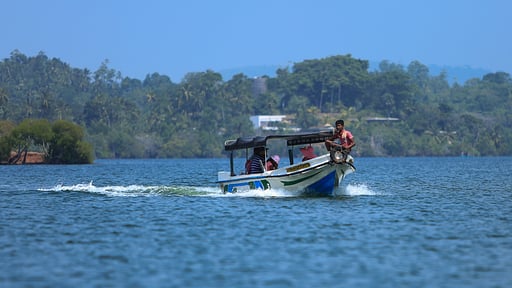 South Point Cottage Otros