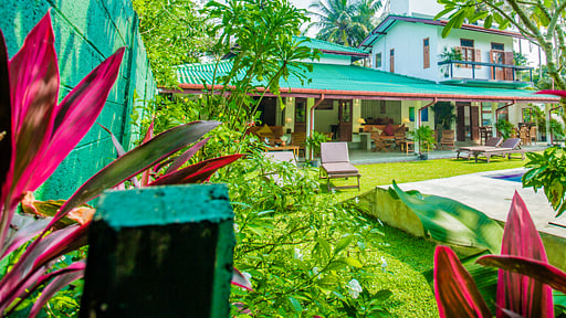 South Point Surf House Others