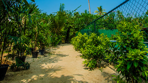 South Point Surf House Others