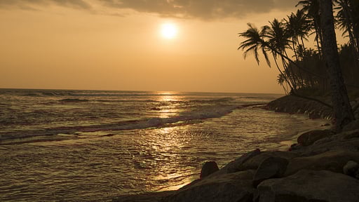 Stella Beach House Others