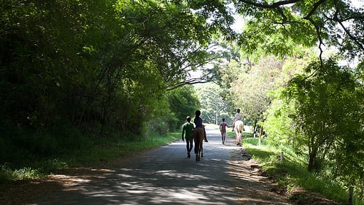 Subashri Villa Surroundings
