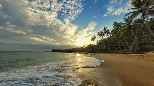 Suduwella House Surroundings