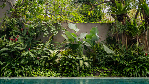 Swan Villa R Others