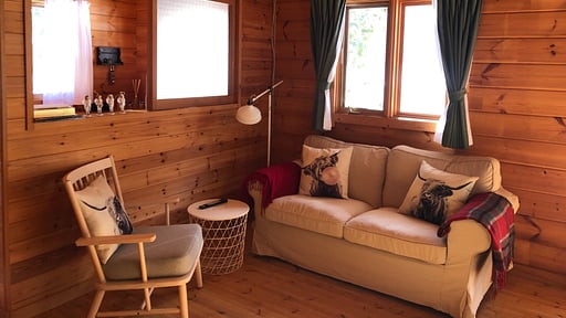 Swiss Chalet Living room