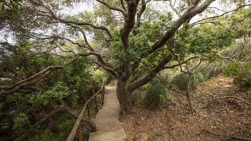 Talamon Tower Umgebung