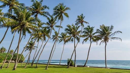 Tanamera Estate Others 