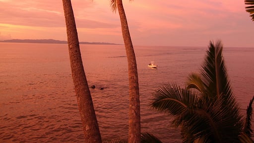 Taveuni Horizon Villa Andere