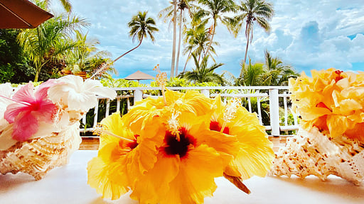 Taveuni Beach Villa Others