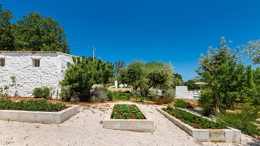 Tenuta dei Fragni Others