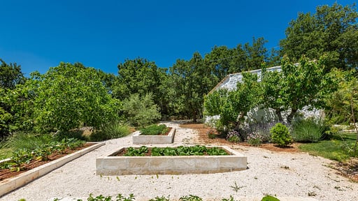 Tenuta dei Fragni Others