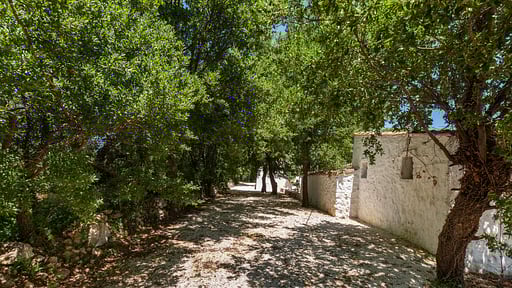 Tenuta dei Fragni Others