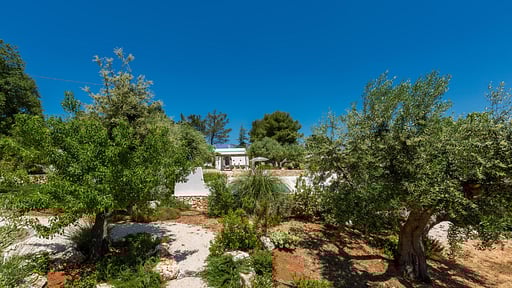 Tenuta dei Fragni Others