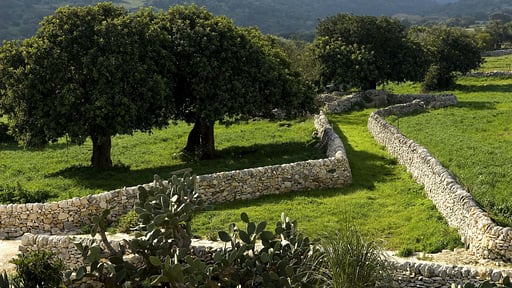 Terrazza Ibla House Others