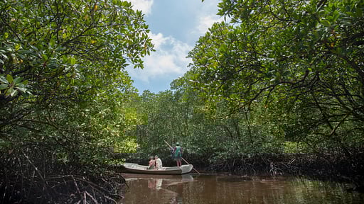 The Acala Rooftop Pool Villa Surroundings