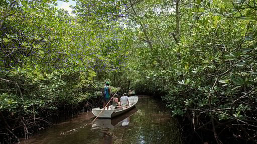 The Acala Rooftop Pool Villa Surroundings