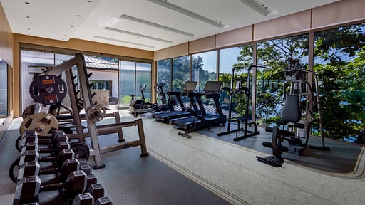 The Aquila Villa Gym