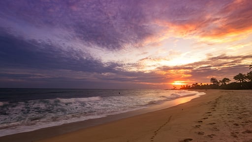 The Beach House Beach