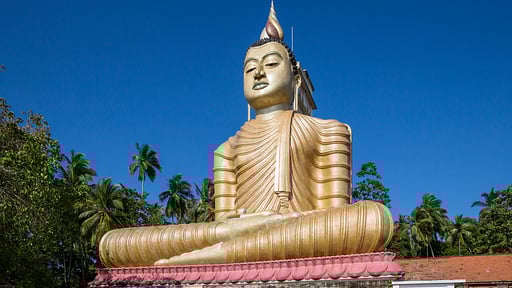 The Boat House Surroundings